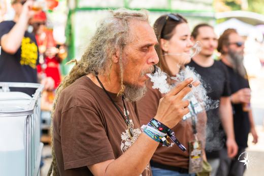 Dub School Festival 2026
