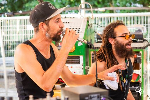 Dub School Festival 2026