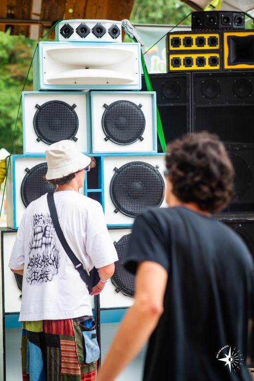 Dub School Festival 2026