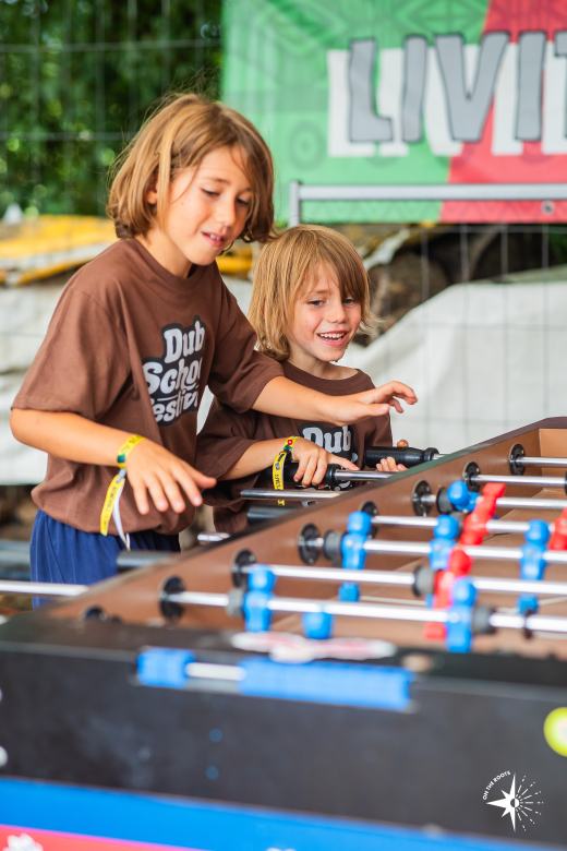 Dub School Festival 2026