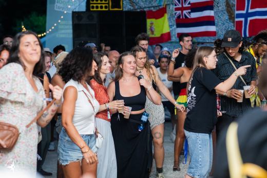 Dub School Festival 2026