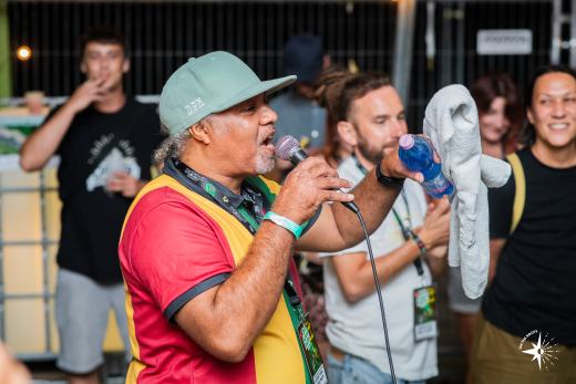 Dub School Festival 2026