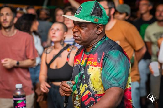 Dub School Festival 2026