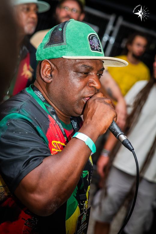 Dub School Festival 2026