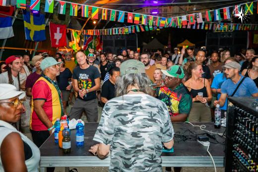 Dub School Festival 2026
